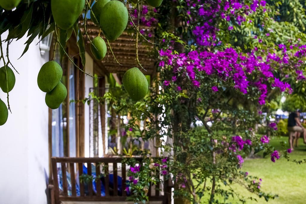 Casa de hóspedes La Em Casa - *